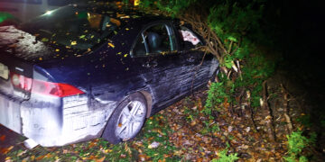 Girtas įvažiavo į gyvatvorę