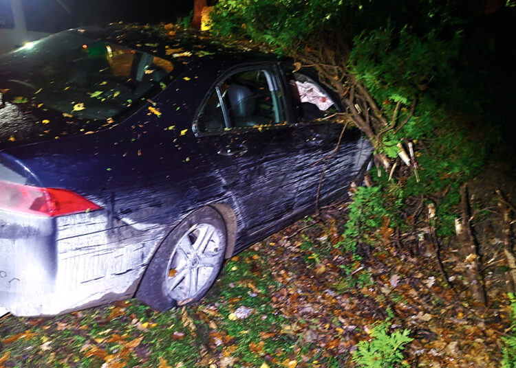 Girtas įvažiavo į gyvatvorę