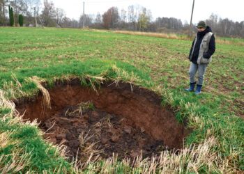 Smegduobių laukuose – savotiškos lenktynės