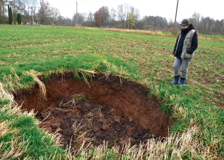 Smegduobių laukuose – savotiškos lenktynės