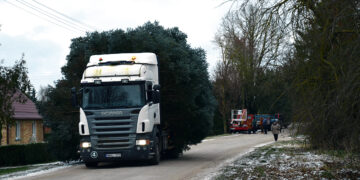 Eglutės gyvenimas ir kelias į Kalėdas