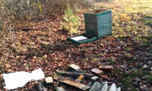 Eibių pridarė bityne apsilankiusi meška