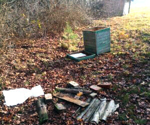 Eibių pridarė bityne apsilankiusi meška