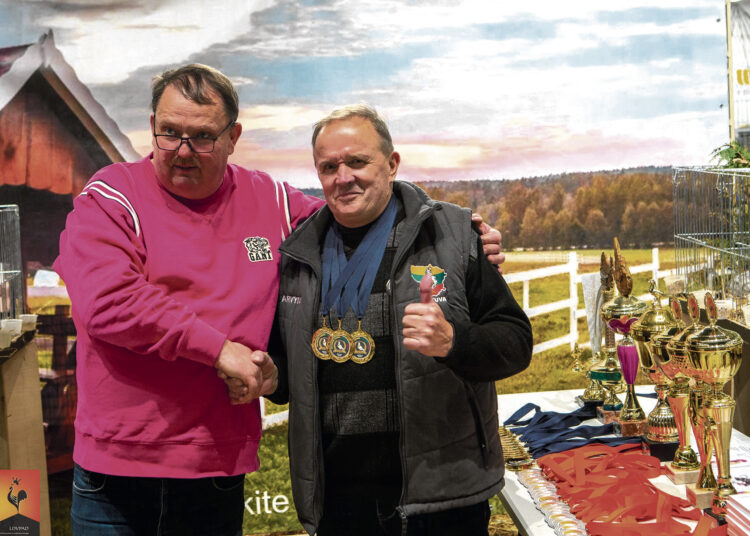 Biržiečių balandžiai – Lietuvos čempionai