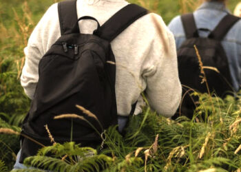 Negyvenamoje sodyboje – trys nelegalūs migrantai