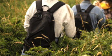 Negyvenamoje sodyboje – trys nelegalūs migrantai