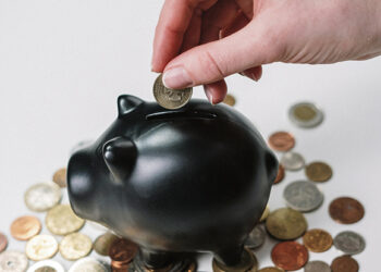 Ruoš sklypus ir lauks investuotojų