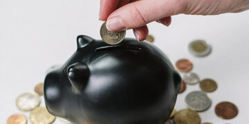 Ruoš sklypus ir lauks investuotojų