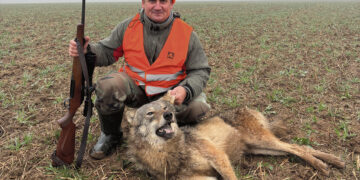 Tame pačiame miškelyje sumedžiojo antrą vilką