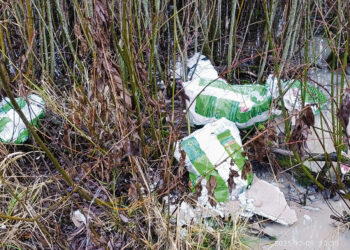 Šiukšlintojų kelias