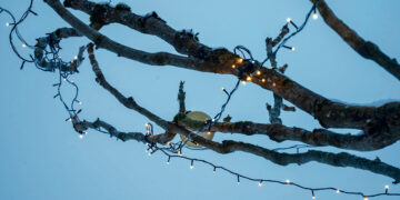 Adventas kaip klausimas