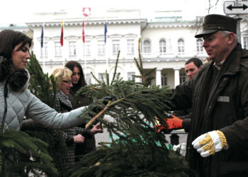 Parsinešk Kalėdas į savo namus