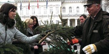 Parsinešk Kalėdas į savo namus