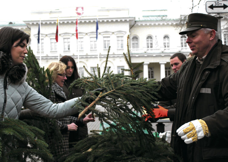 Parsinešk Kalėdas į savo namus