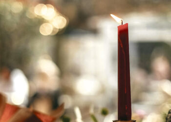 Žvakė užsispyrėlė