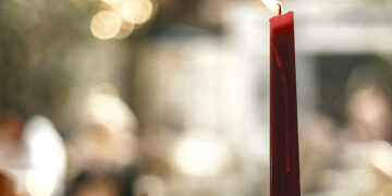 Žvakė užsispyrėlė