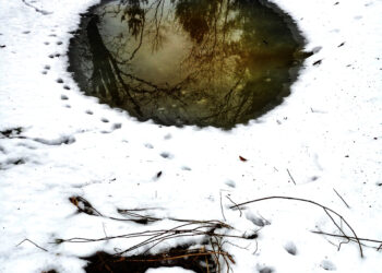 Ką būtent tau reiškia Kūčios ir Kalėdos?