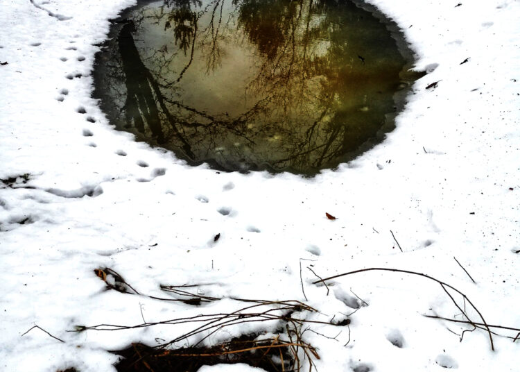 Ką būtent tau reiškia Kūčios ir Kalėdos?