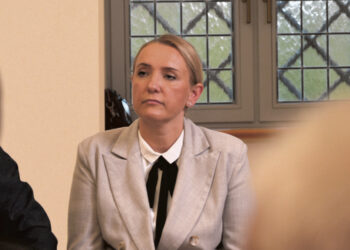 Seimo narė išlaidavo panašiai kaip kolegos