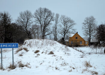 Priešmirtinė agonija: dėl ligos ar pasikėsinimo?