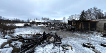 Žuvusius augintinius vadino vaikais