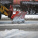 Pirmąją kovą su sniegu laimėjo