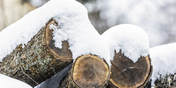 Kietasis kuras: augo ir paklausa, ir kaina