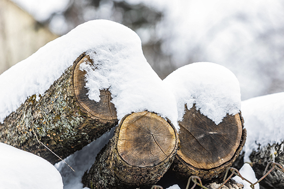 Kietasis kuras: augo ir paklausa, ir kaina
