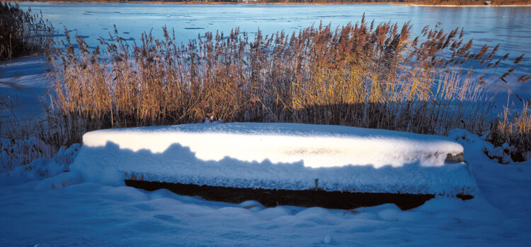 Autoriaus nuotraukos