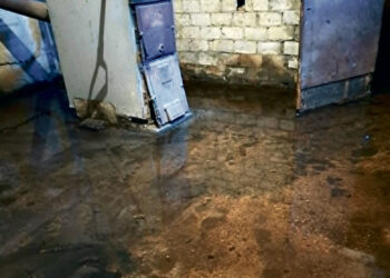 Nausėdžių bibliotekoje – kaip Venecijoje