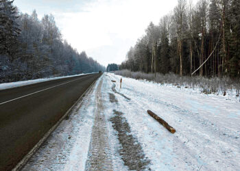 Rąstus patraukti padėjo kelių džentelmenai