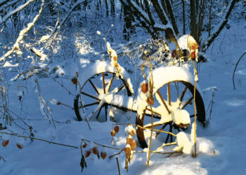Žiema grįžta į senas vėžes