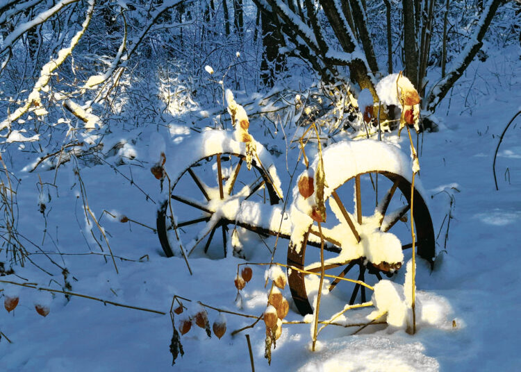 Žiema grįžta į senas vėžes