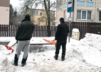 Vaduoja miestą iš sniego