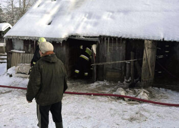 Gyvulius iš degusio tvarto išvarė patys ūkininkai