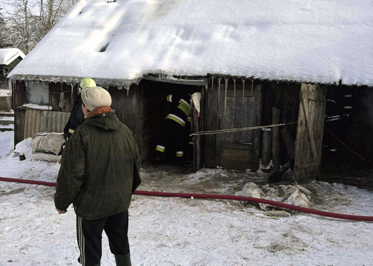 Gyvulius iš degusio tvarto išvarė patys ūkininkai