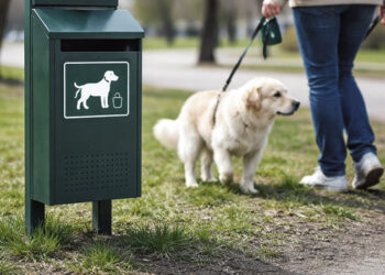 Statys naujas dėžes šunų ekskrementams