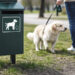 Statys naujas dėžes šunų ekskrementams