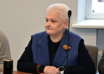 Tarybos posėdžių spindesys ir skurdas