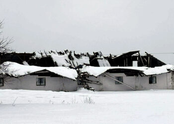 Sniego svorio neatlaikė stogai ir šiltnamiai