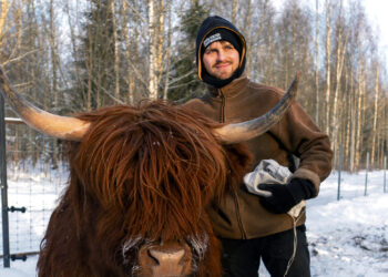 Gauruotų karvučių šeimininkas Nojus iš Biržų: kai viską filmuoji, dirbti ne taip nuobodu
