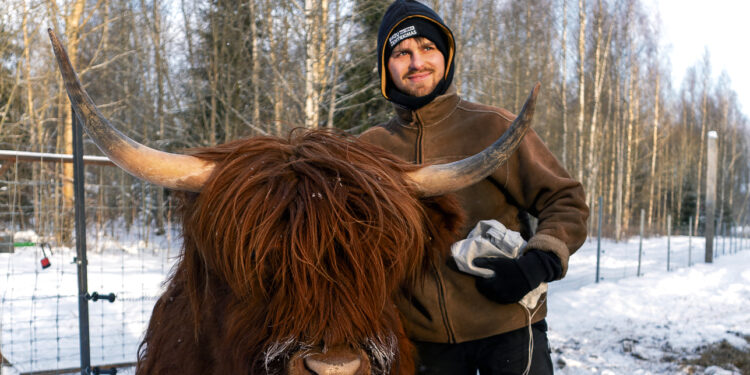 Gauruotų karvučių šeimininkas Nojus iš Biržų: kai viską filmuoji, dirbti ne taip nuobodu