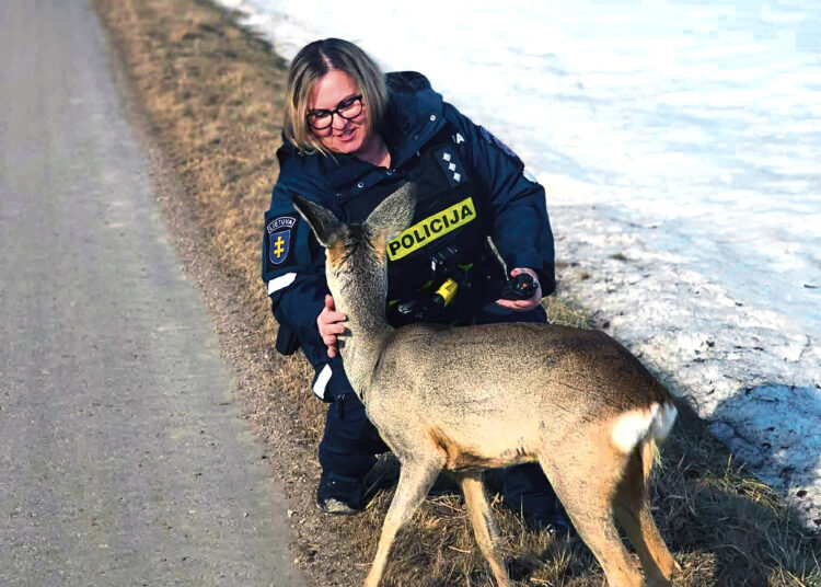 Namo pavėžėjo išsiblaškėlį