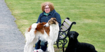 Apie šunų darželį, vaidmenį kine ir „minas“ parke