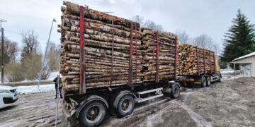 Netvarkingiems miško vežėjams teks pakratyti pinigines