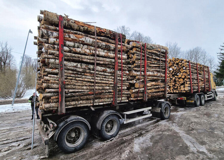 Netvarkingiems miško vežėjams teks pakratyti pinigines