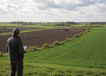 Galimybė praplėsti turimus žemės plotus