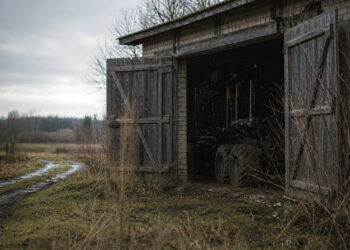 Atokioje vietovėje rasta vogta medvežė
