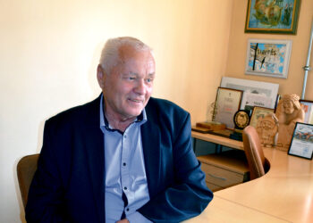 Ar įmanoma gauti kompensaciją už miškui padarytą laukinių žvėrių žalą