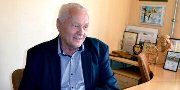 Ar įmanoma gauti kompensaciją už miškui padarytą laukinių žvėrių žalą